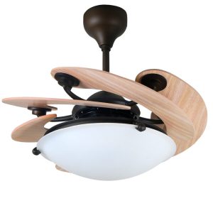 QUẠT TRẦN MR VŨ SOLE WOOD - 12