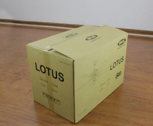 Quạt trần Lotus Gold Mr Vũ Fan - 29