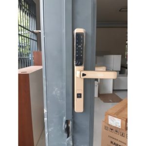 KASSLER KL-599LX CHAMPAGE GOLD