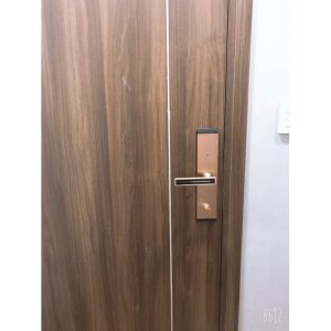 KASSLER KL-667 COPPER