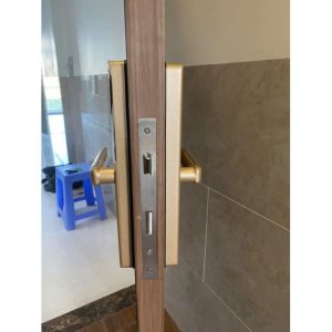 KASSLER KL-599LX CHAMPAGE GOLD