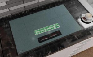 Bếp Từ Canzy CZI-9922P - 11 Bếp Từ Canzy CZI-9922P - 10