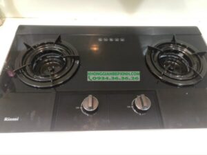 Bếp Gas Âm Rinnai RVB-2i(AB) - 19