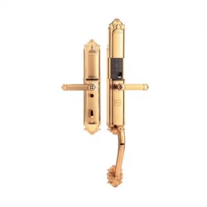 Khóa vân tay tân cổ Demax SL821 - màu đồng - 9