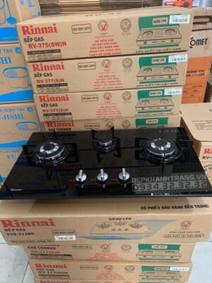 Bếp Gas Âm Rinnai RVB-312BG - 11