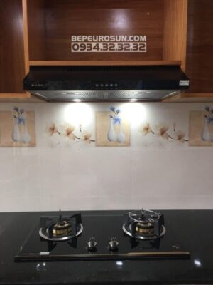 Máy Hút Mùi Eurosun EH-60CF19S - 82