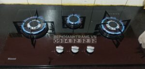 Bếp Gas Âm Rinnai RVB-312BG - 15