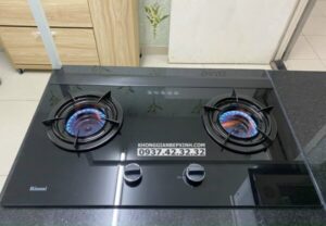 Bếp Gas Âm Rinnai RVB-2i(AB) - 15