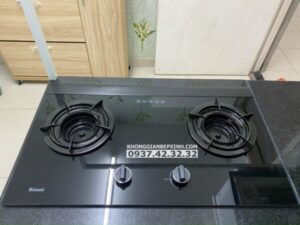 Bếp Gas Âm Rinnai RVB-2i(AB) - 17