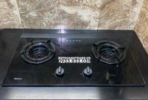 Bếp Gas Âm Rinnai RVB-2i(AB) - 27