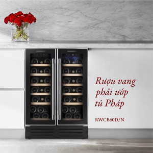 TỦ RƯỢU 2 CÁNH ÂM TỦ ROSIERES RWCB60D/N - 8