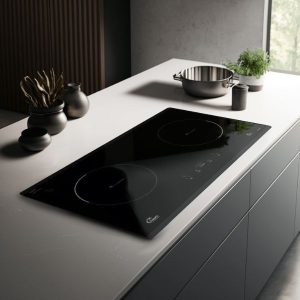 Bếp từ TOMATE TOM 02I-7T