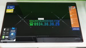 Bếp từ Kocher DI-808GE - 2 KOCHER DI-808GE