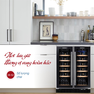 TỦ RƯỢU 2 CÁNH ÂM TỦ ROSIERES RWCB60D/N - 16