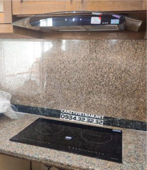 Bếp Từ Canzy CZ TL869D - 43 Bếp Từ Canzy CZ TL869D - 42