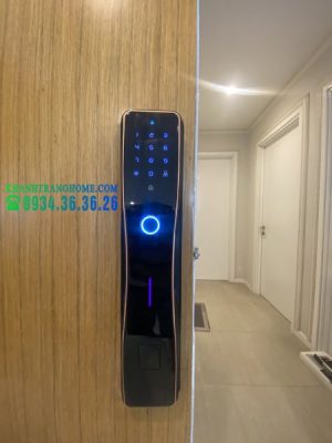 KHÓA CỬA VÂN TAY DEMAX SL668 BL - 19