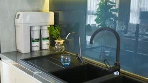 Máy Lọc Nước A. O. Smith R400E - 24