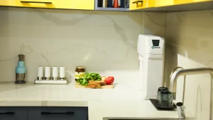 Máy Lọc Nước A. O. Smith R400E - 22