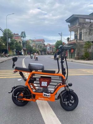 XE ĐIỆN HOTGIRL BURKE - 17