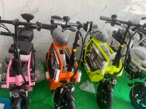 XE ĐIỆN HOTGIRL BURKE - 19