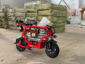 XE ĐIỆN HOTGIRL BURKE - 21