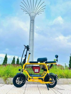 XE ĐIỆN HOTGIRL BURKE - 23