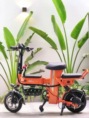 XE ĐIỆN THELI HOTGIRL - 14 XE ĐIỆN THELI HOTGIRL - 13