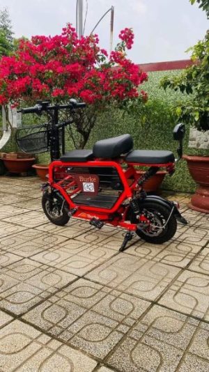 XE ĐIỆN HOTGIRL BURKE - 27