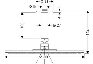 Sen đầu có tay sen Raindance S Hansgrohe 589.30.818 - 3