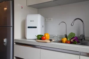 Máy Lọc Nước A. O. Smith E3 - 20