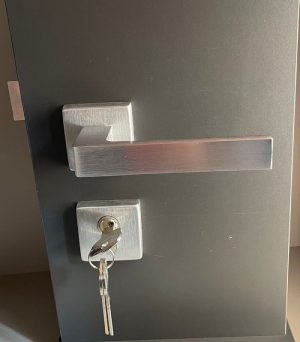 Tay nắm gạt Hafele 903.99.427 - 9