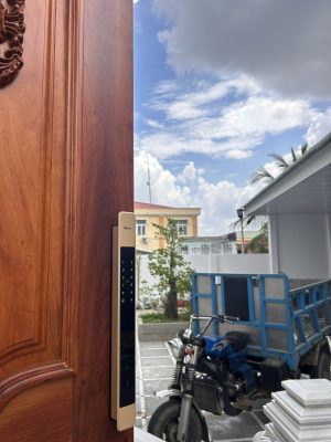 KHÓA THÔNG MINH DEMAX SL801CG