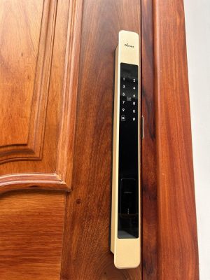 KHÓA THÔNG MINH DEMAX SL801CG