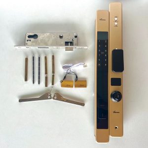 KHÓA THÔNG MINH DEMAX SL801CG