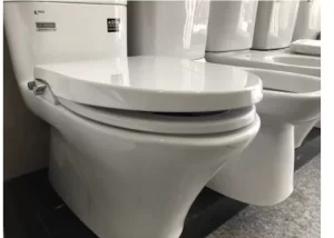 Bồn Cầu INAX AC-504A/CW-S15VN 2 Khối Nắp Rửa Cơ - 10 Bồn Cầu INAX AC-504A/CW-S15VN 2 Khối Nắp Rửa Cơ - 9