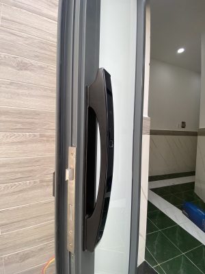 KHÓA THÔNG MINH DEMAX SL802 BL APP