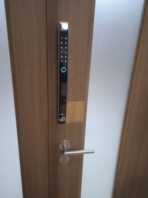 KHÓA THÔNG MINH DEMAX SL802 CG APP