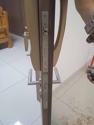 KHÓA THÔNG MINH DEMAX SL802 CG APP