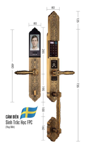 KHÓA ĐẠI SẢNH BIỆT THỰ DEMAX SL988 GB APP WIFI