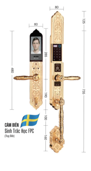 KHÓA ĐẠI SẢNH BIỆT THỰ CAO CẤP DEMAX SL988 GOLD APP WIFI - 3