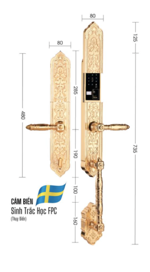 KHÓA ĐẠI SẢNH BIỆT THỰ CAO CẤP DEMAX SL888GOLD APP WIFI