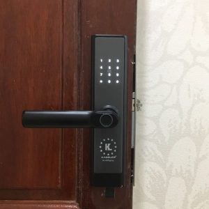 KHÓA VÂN TAY KASSLER KL656 GRAY - 2 KASSLER KL656 GRAY