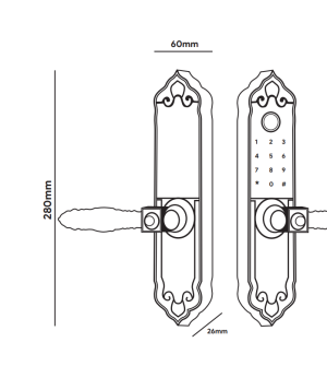 KHÓA CỬA VÂN TAY HUBERT HB DS99 MINI - 5