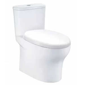 Bồn Cầu CAESAR CD1394 1 Khối Nắp Êm - 3