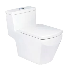 Bồn Cầu COTTO C10717 1 Khối Nắp Êm - 4 Bồn Cầu COTTO C10717 1 Khối Nắp Êm - 3