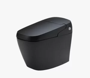 Bồn Cầu Điện Tử INAX AC-G216VN/BKG Đen - 4