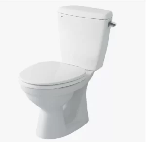 Bồn Cầu INAX C-117VAN 2 Khối Nắp Êm - 4