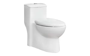 Bồn Cầu THIÊN THANH TITAN CK68 1 Khối - 3