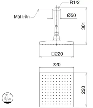 Bát Sen Gắn Trần TOTO DB144-1CR Vuông 220mm - 9