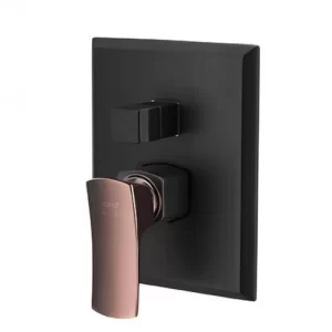 Sen Tắm Âm Tường COTTO CT2255A#BLBR Nóng Lạnh 2 Đường Nước - 3